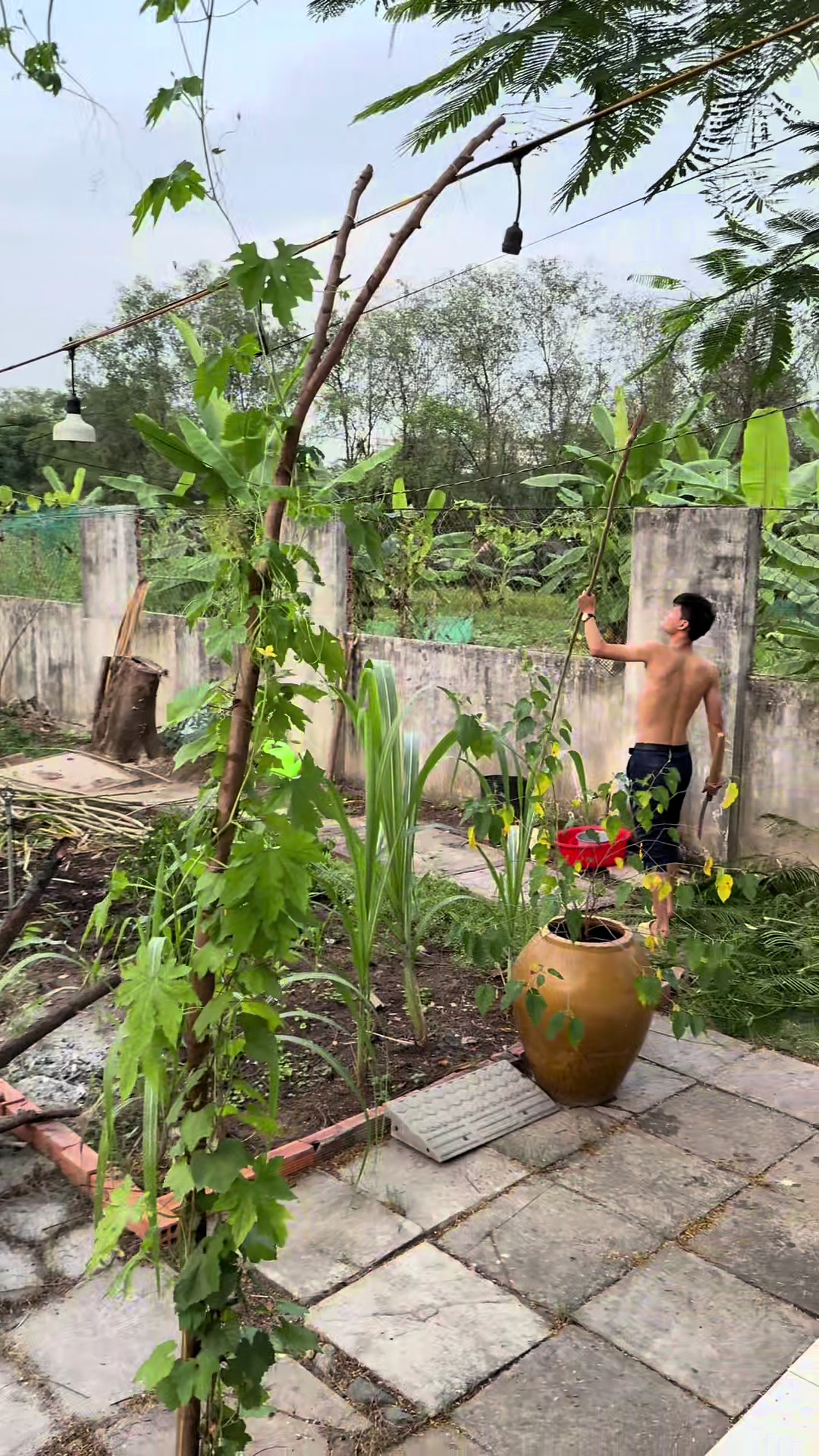 @Vũ Ngọc Lu&acirc;n