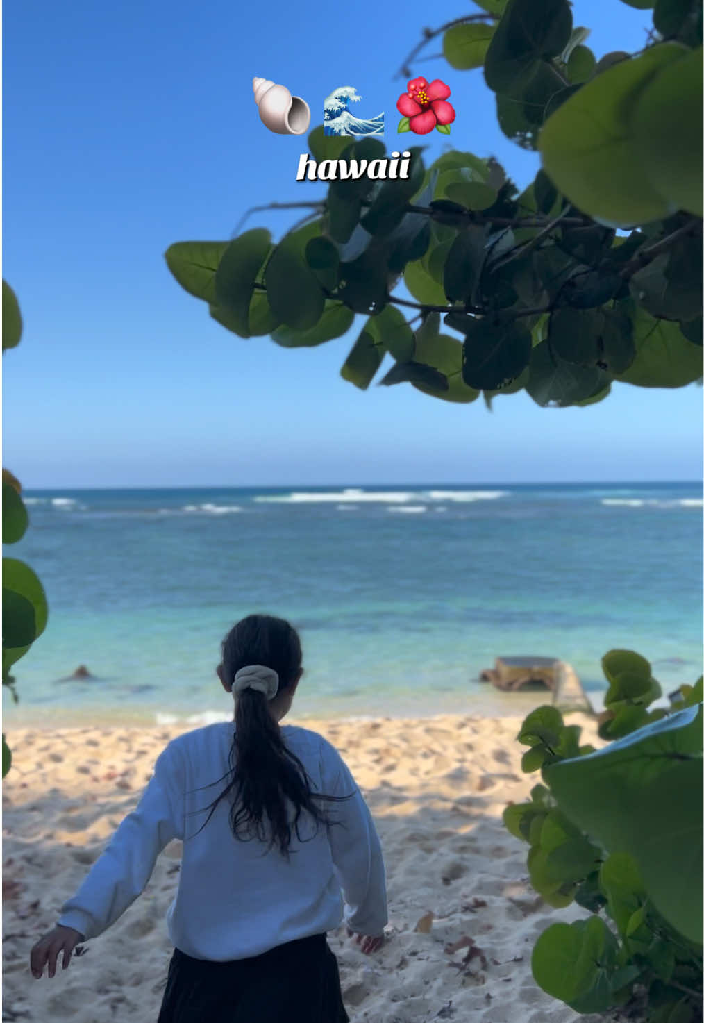 @SyLein👩🏻&zwj;🍳🇫🇲