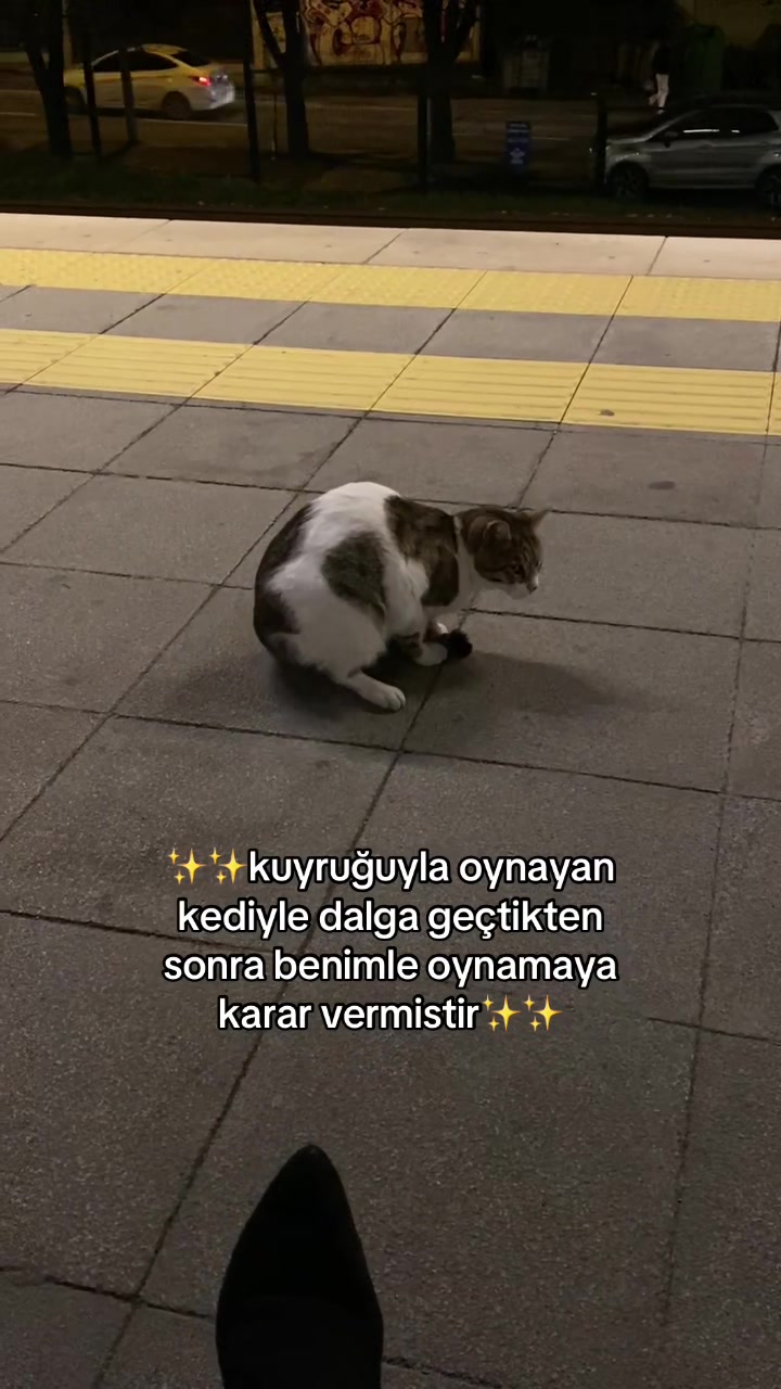 @ilggnnss