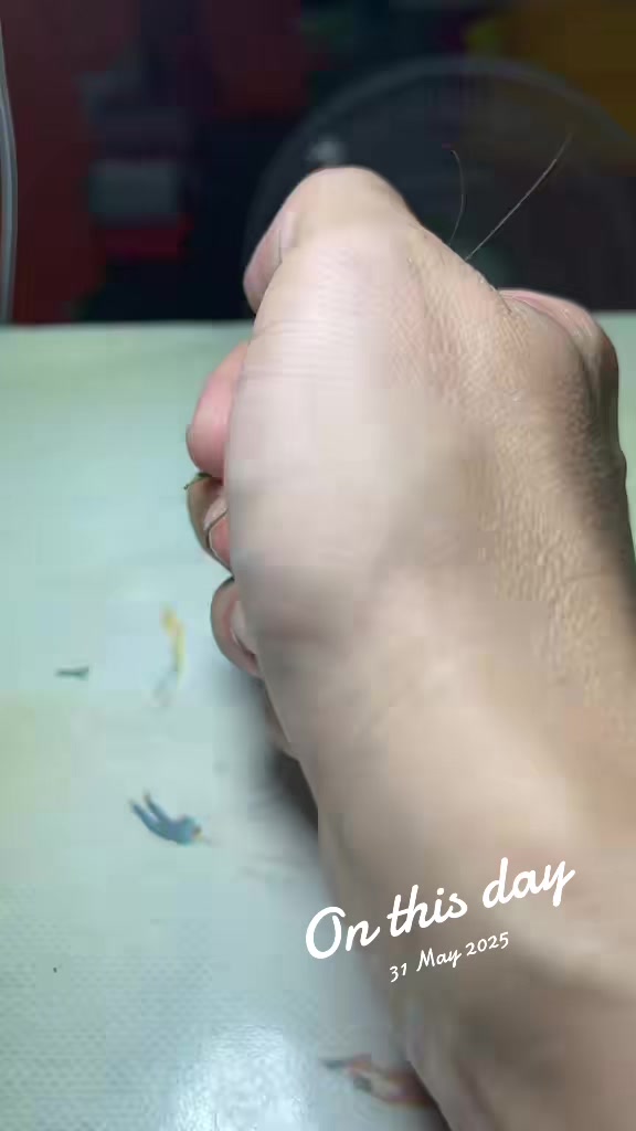 @Taadaa小虎哥