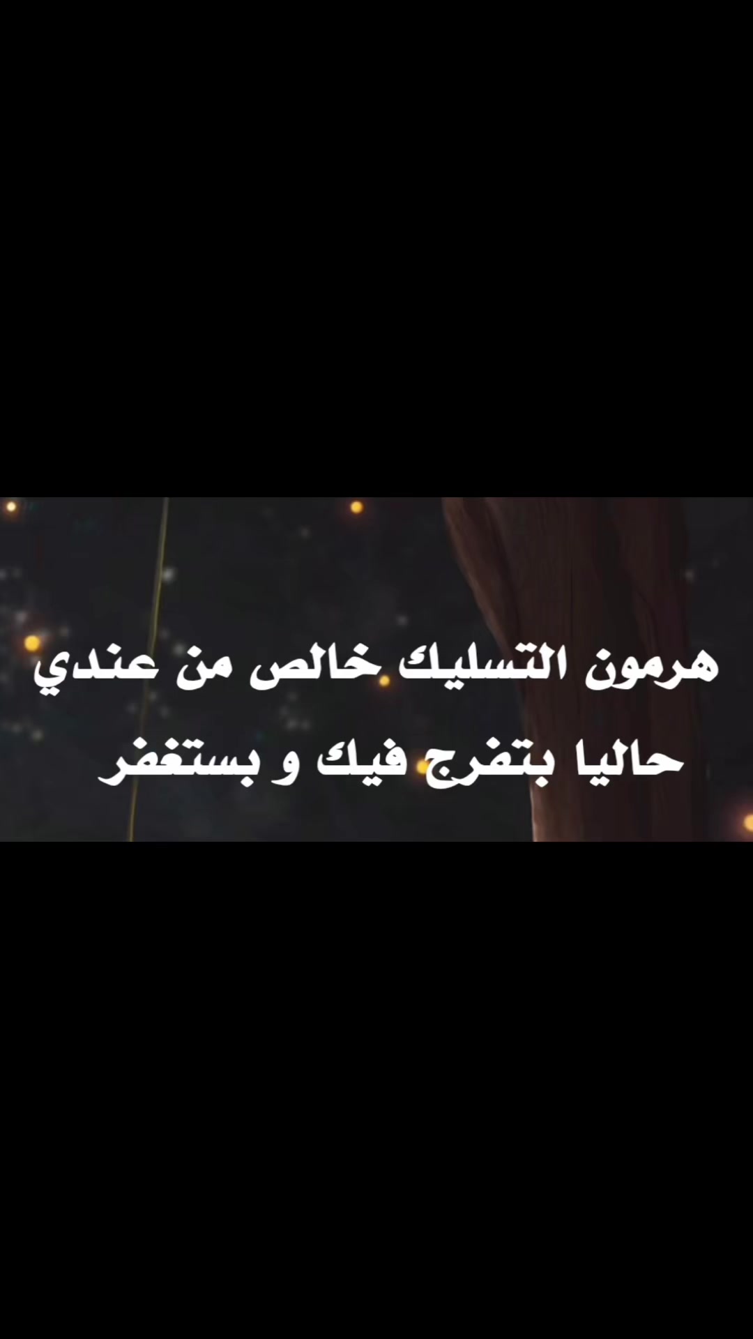 @boshra alaraj