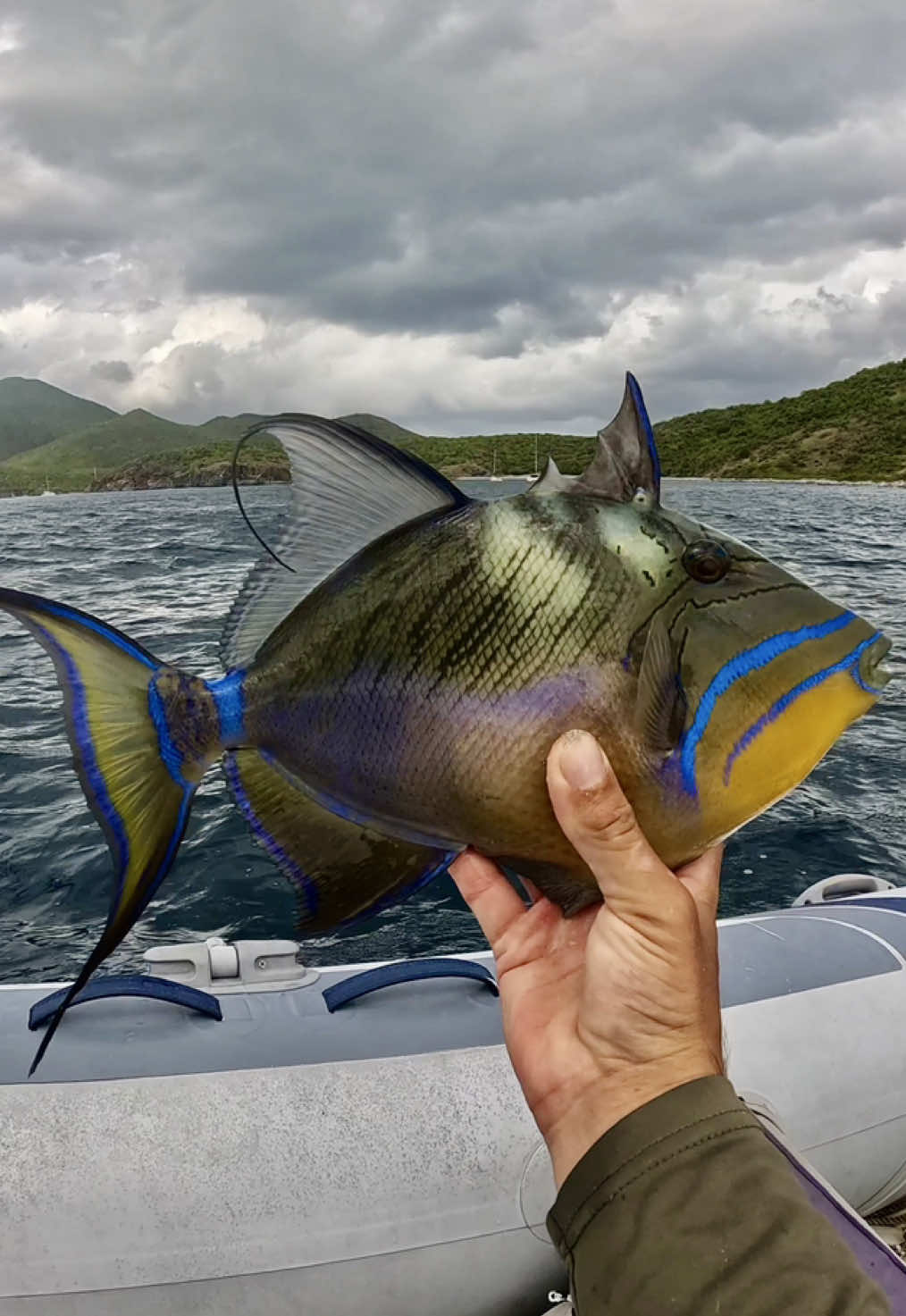 @Fishing with Dante