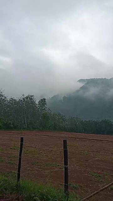 @ulek bulu