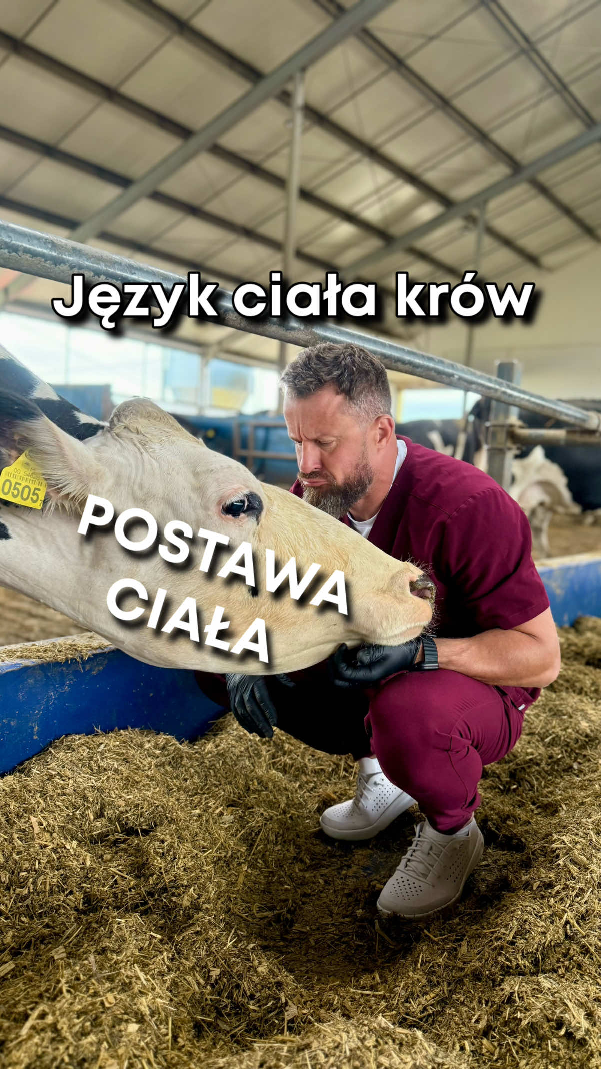@cowdoctor_pl