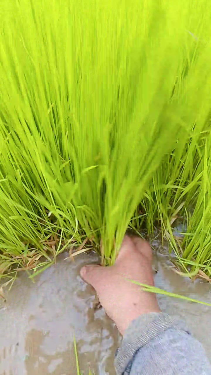 @Madhu Thadarai