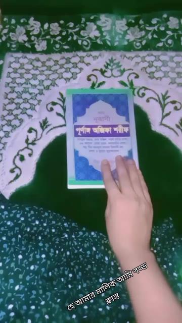 @Ayan Rani811