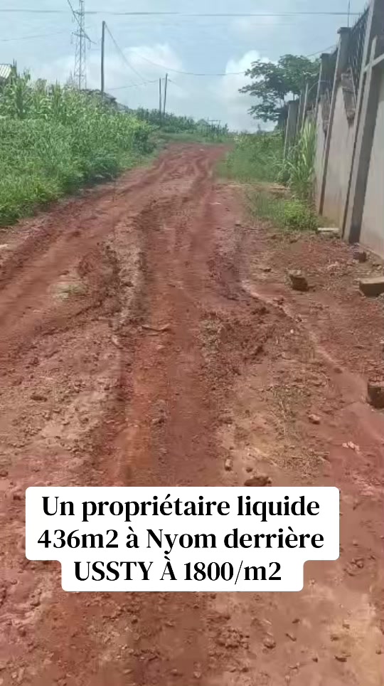 @DINO~IMMO~237🇨🇲🇨🇲