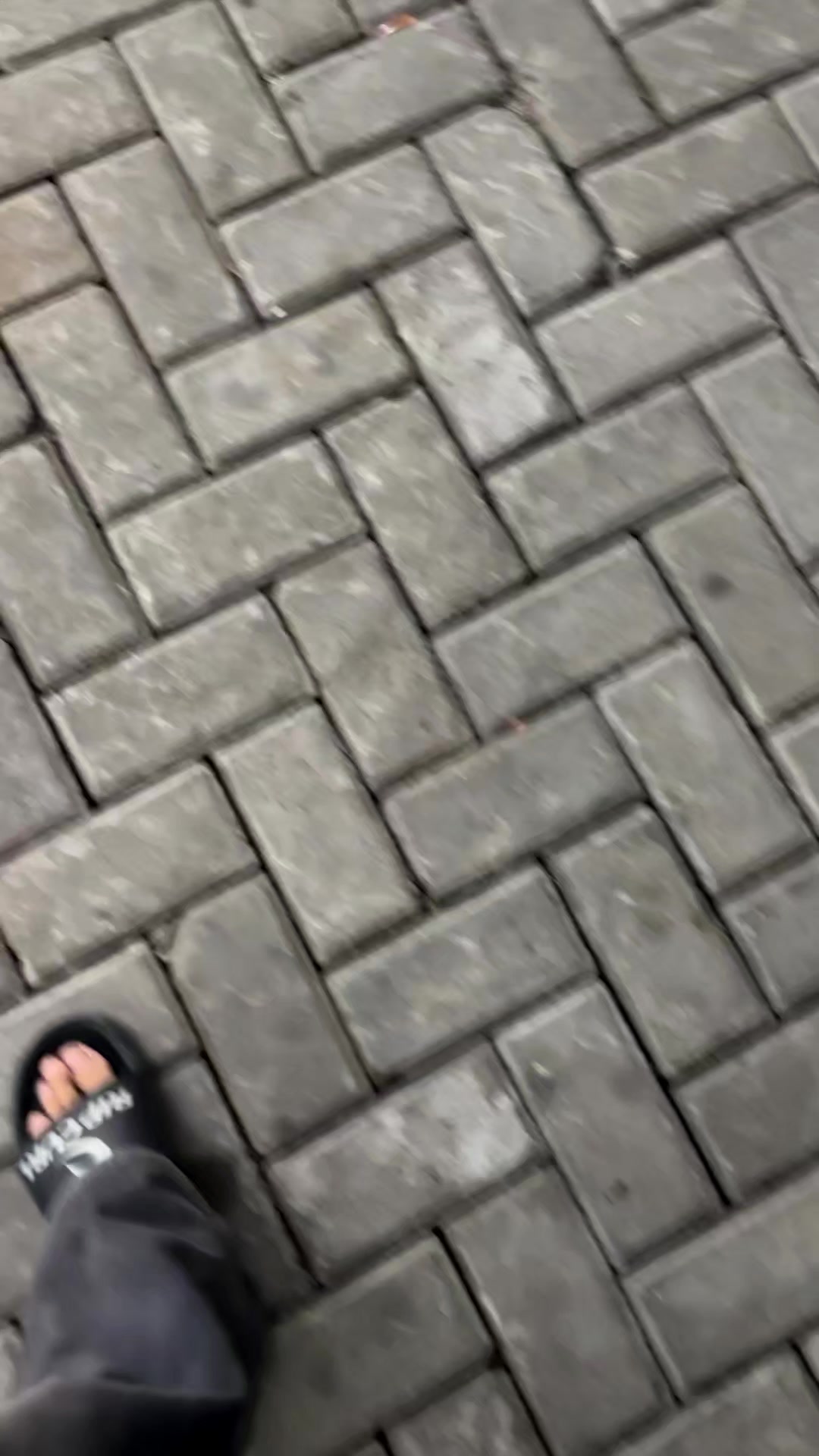 @vynexzz