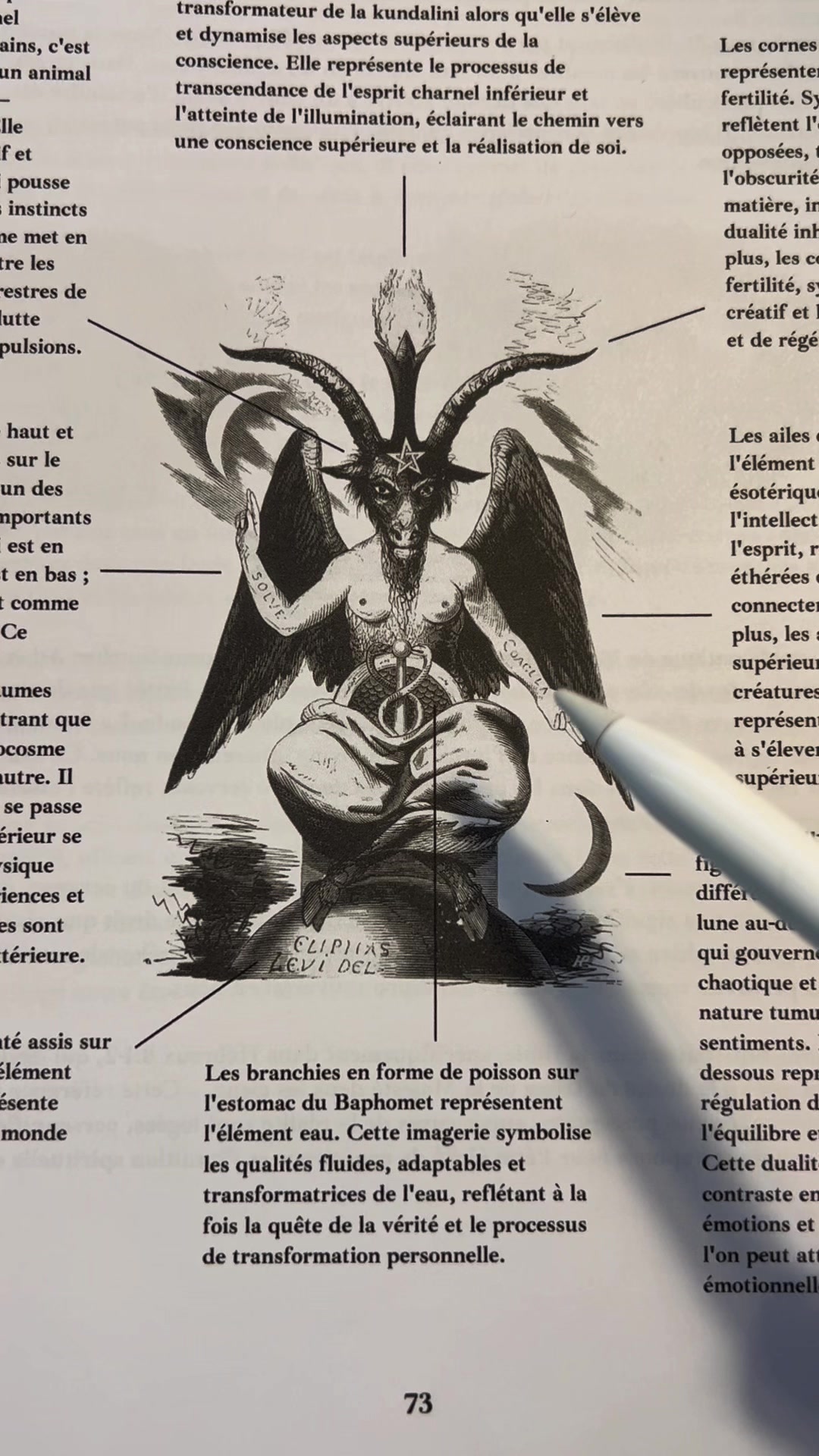 @Renaissance du Savoir