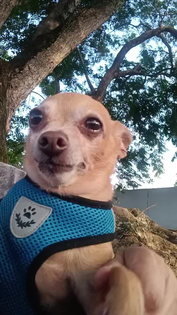 @Jessica Orria Vazque