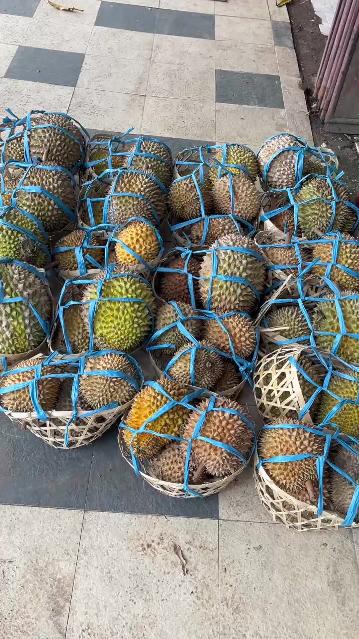 @Kenzhi Durian Tuban