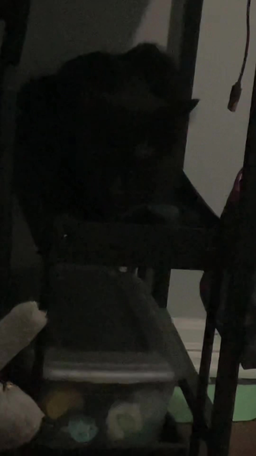 @acesmaces002