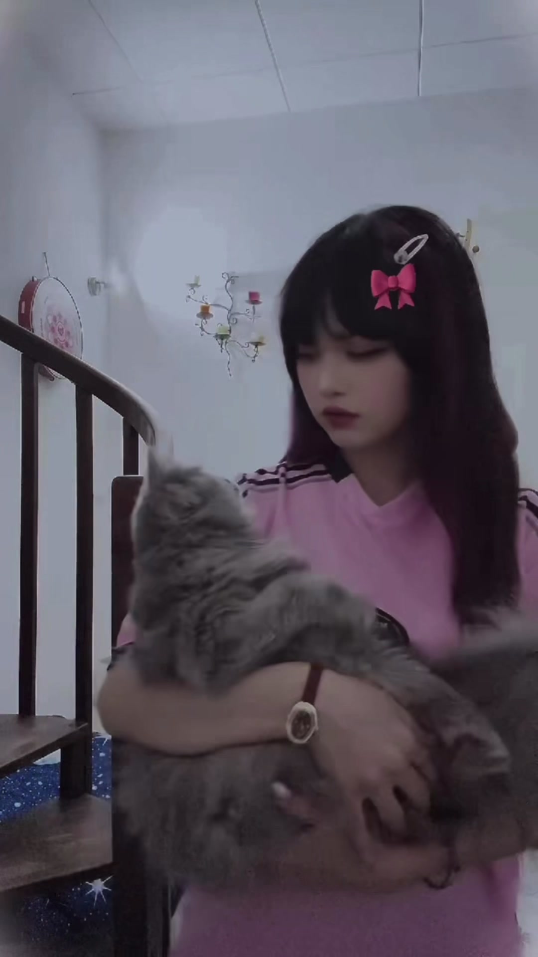 @𓆩⋆𝑴𝒂𝒉𝒊⋆𓆪