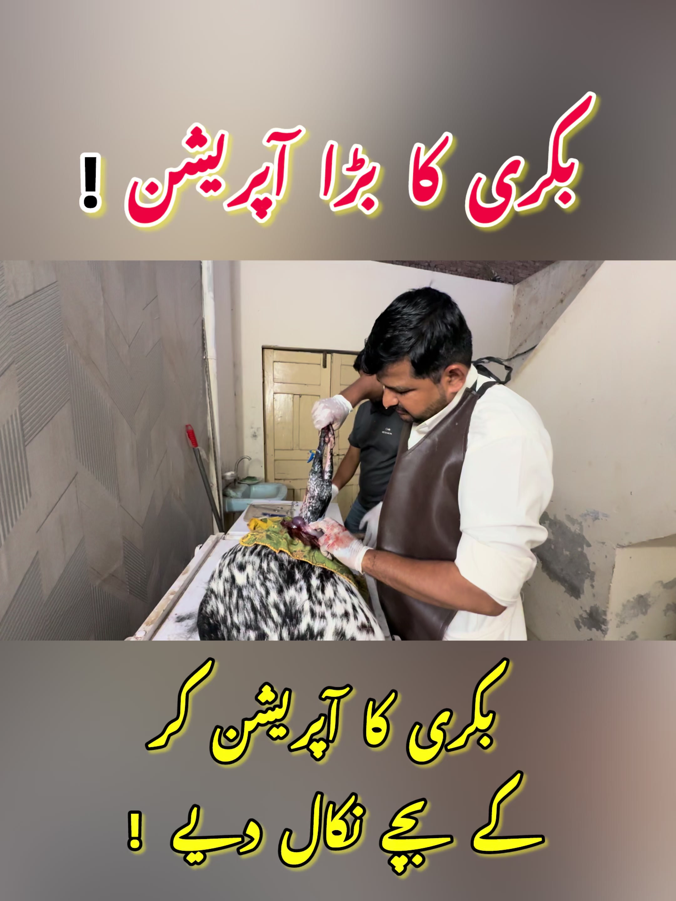 @Dr.Mohsin