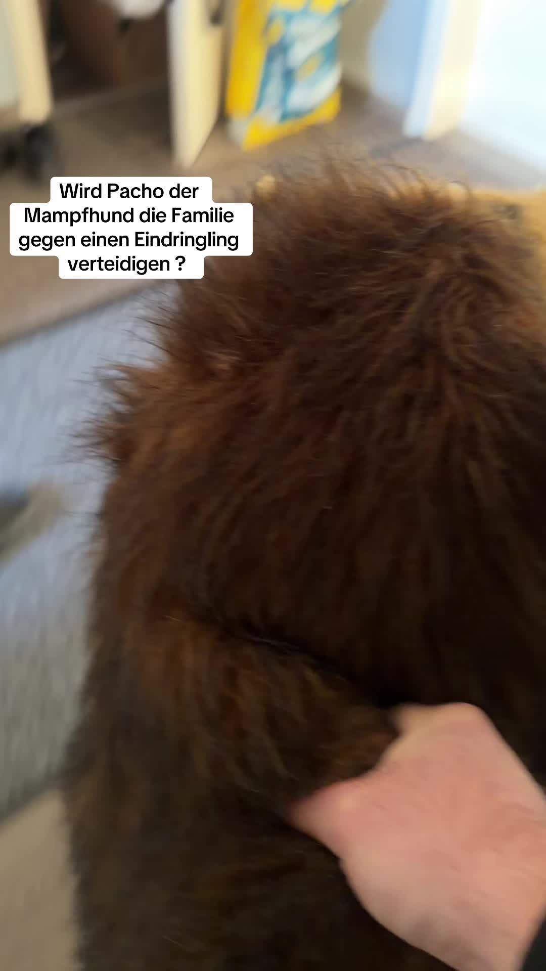 @XXLBALU