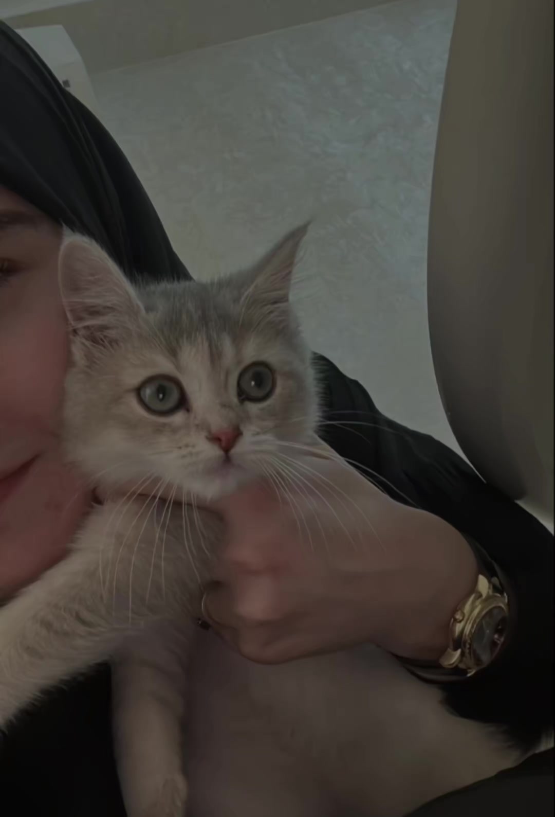 @تیـانـا❤🐈