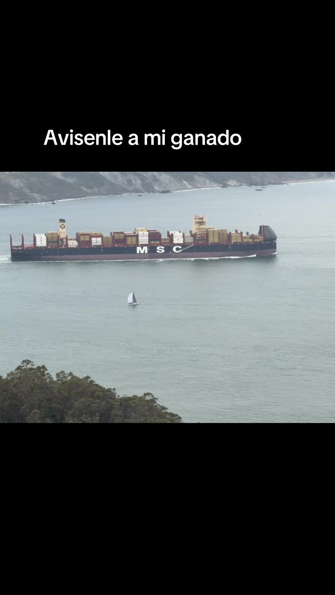 @raul perez986