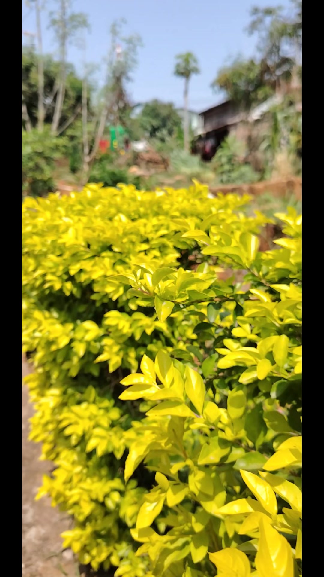 @अधिकारी लक्ष्मी
