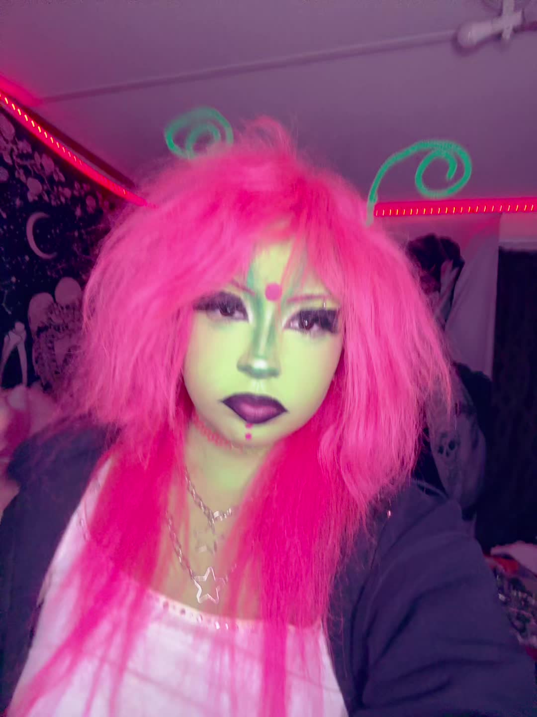 @thefleshcollector