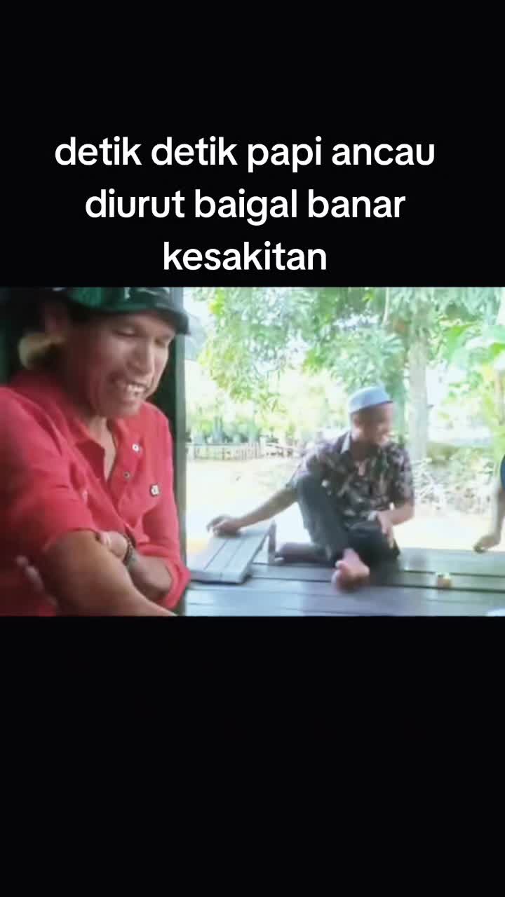 @ACAN hangur