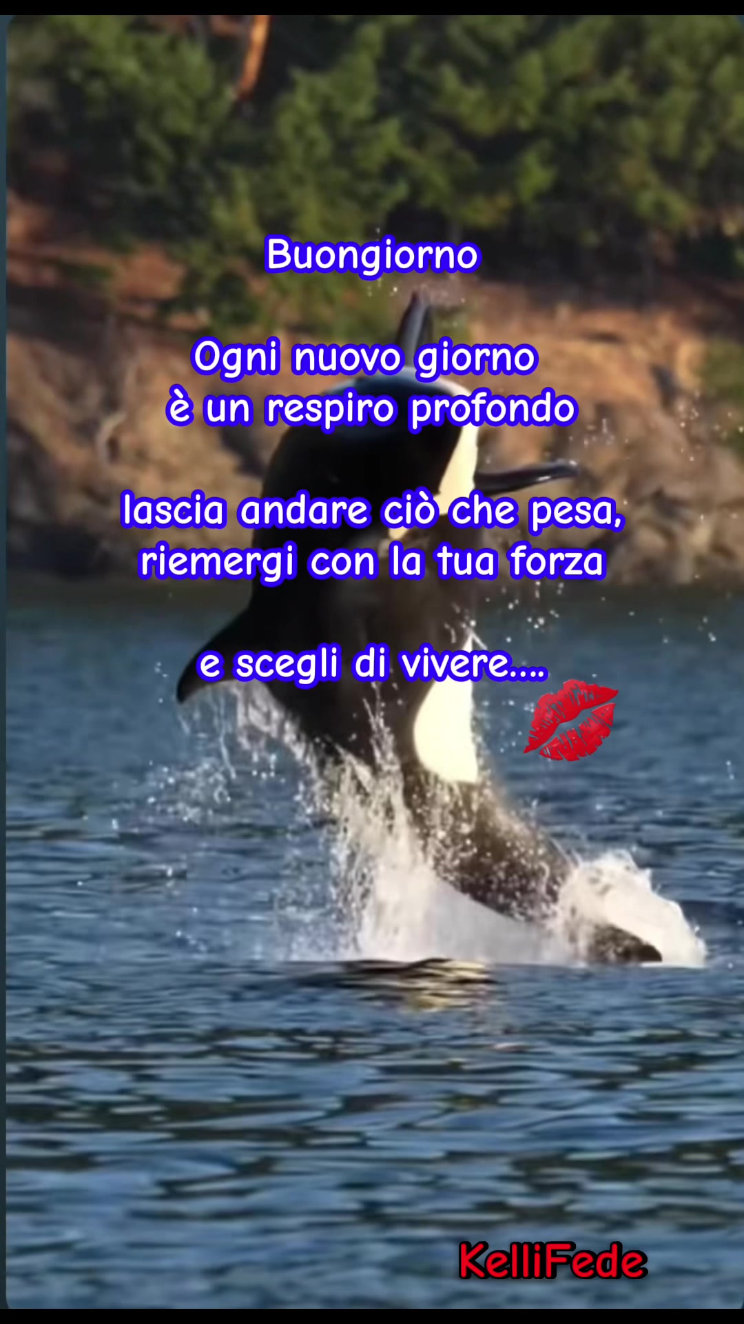 @Kellifede