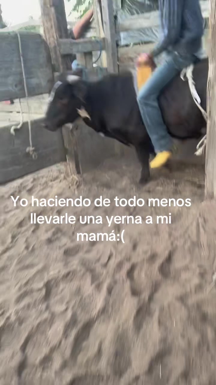 @Compa_guero04