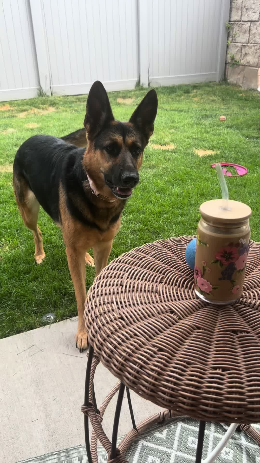 @Rory The Not-Working GSD