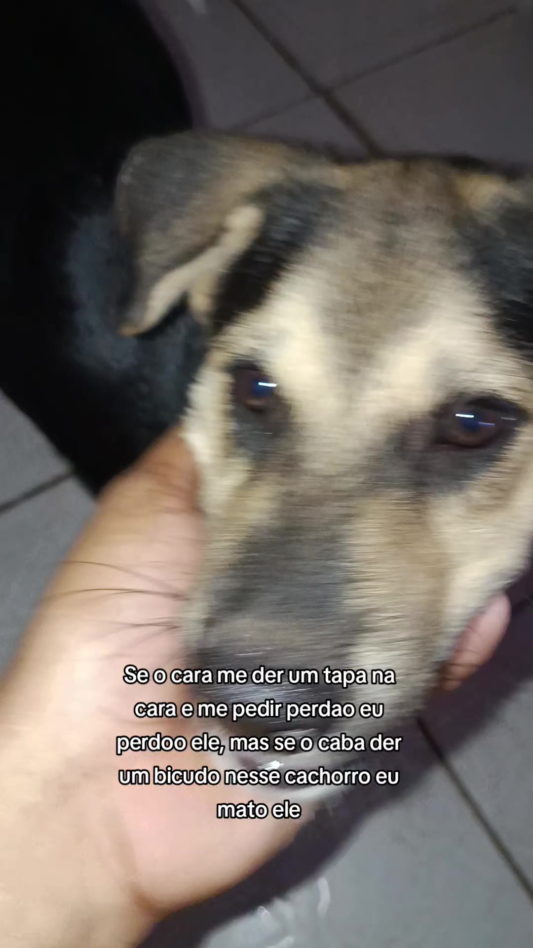 @negoxtz