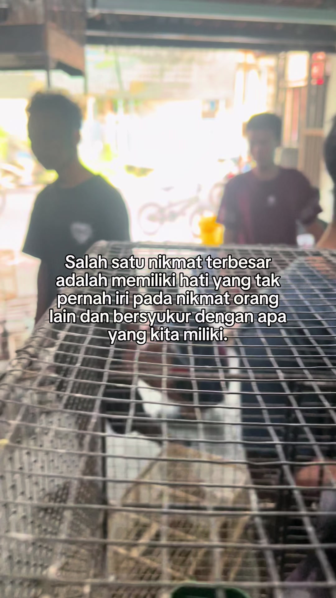 @BIBONGS