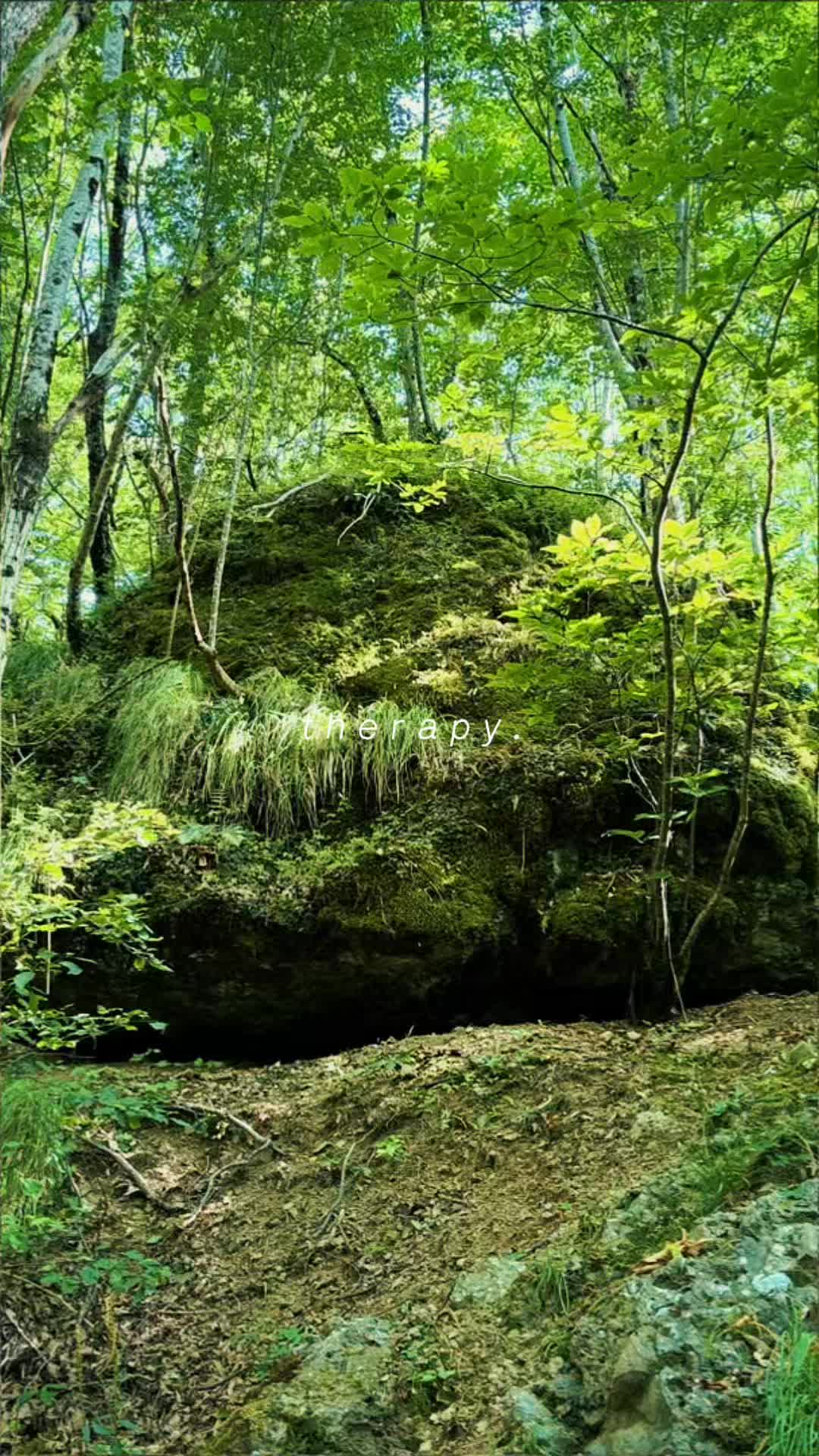 @๐๐๐ฉ๐๐๐๐
๐๐๐ด๐๐๐๐๐