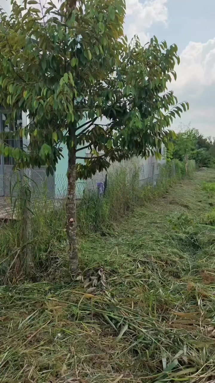 @Bất Động Sản Cần Thơ