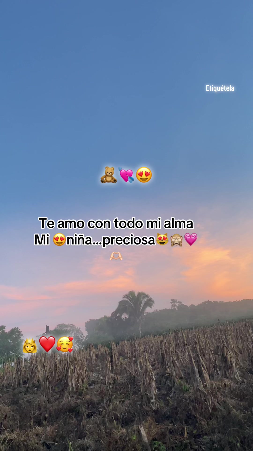 @Gustavo