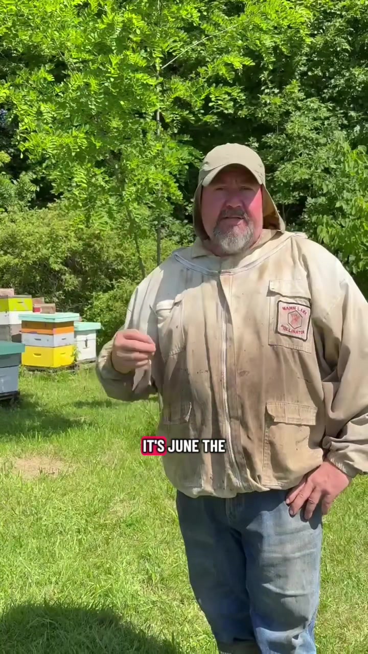 @The Angry Beekeeper🇨🇦