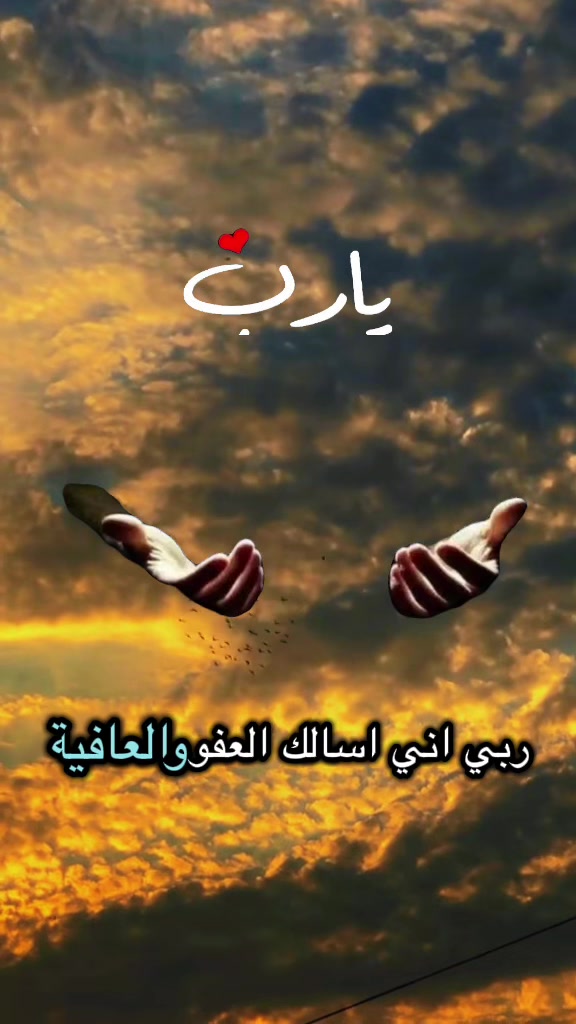 @hanan