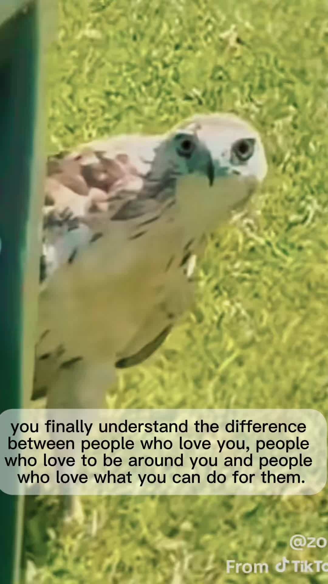 @SeeitsCece