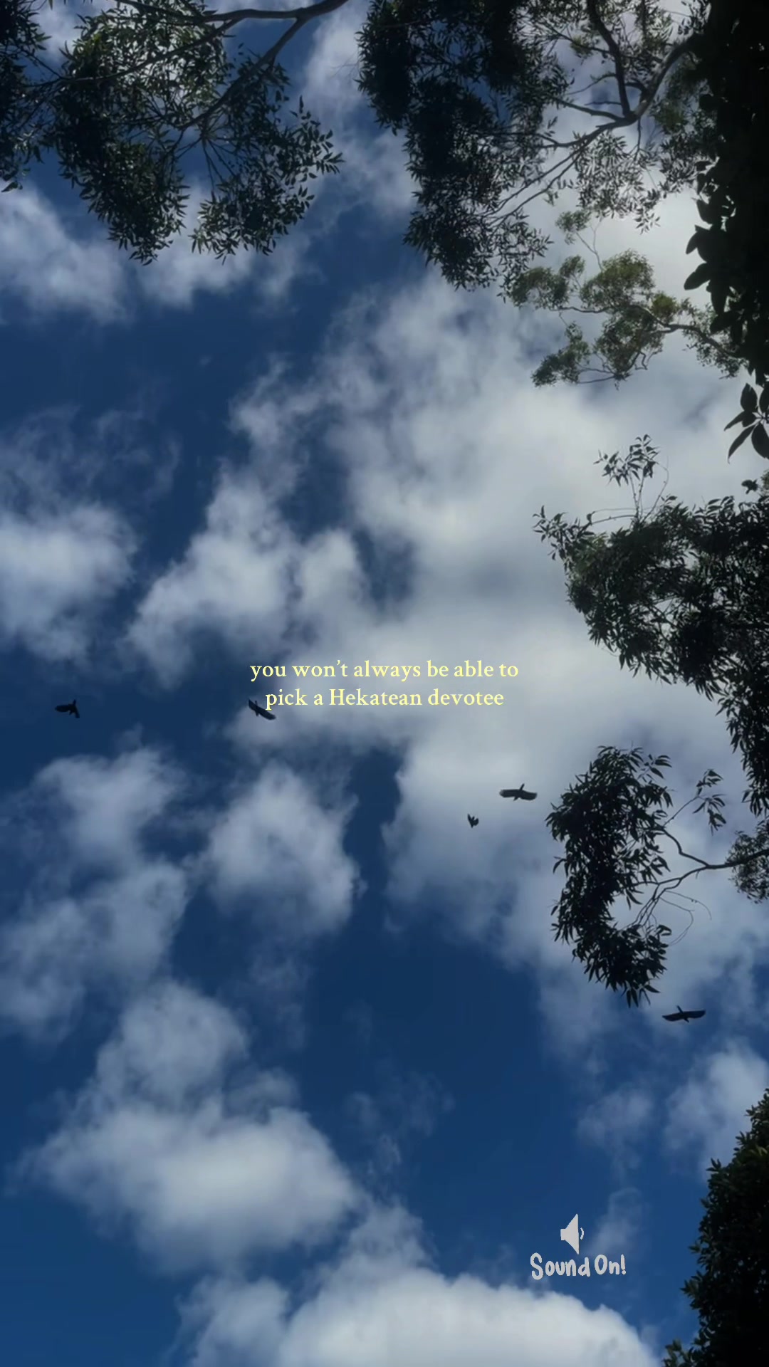 @Rose Moon Magick🕷️🪷
