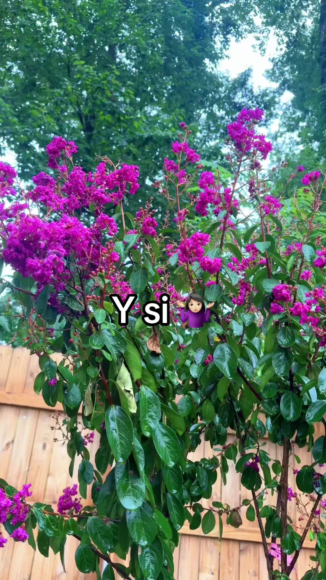 @coolmomlife95