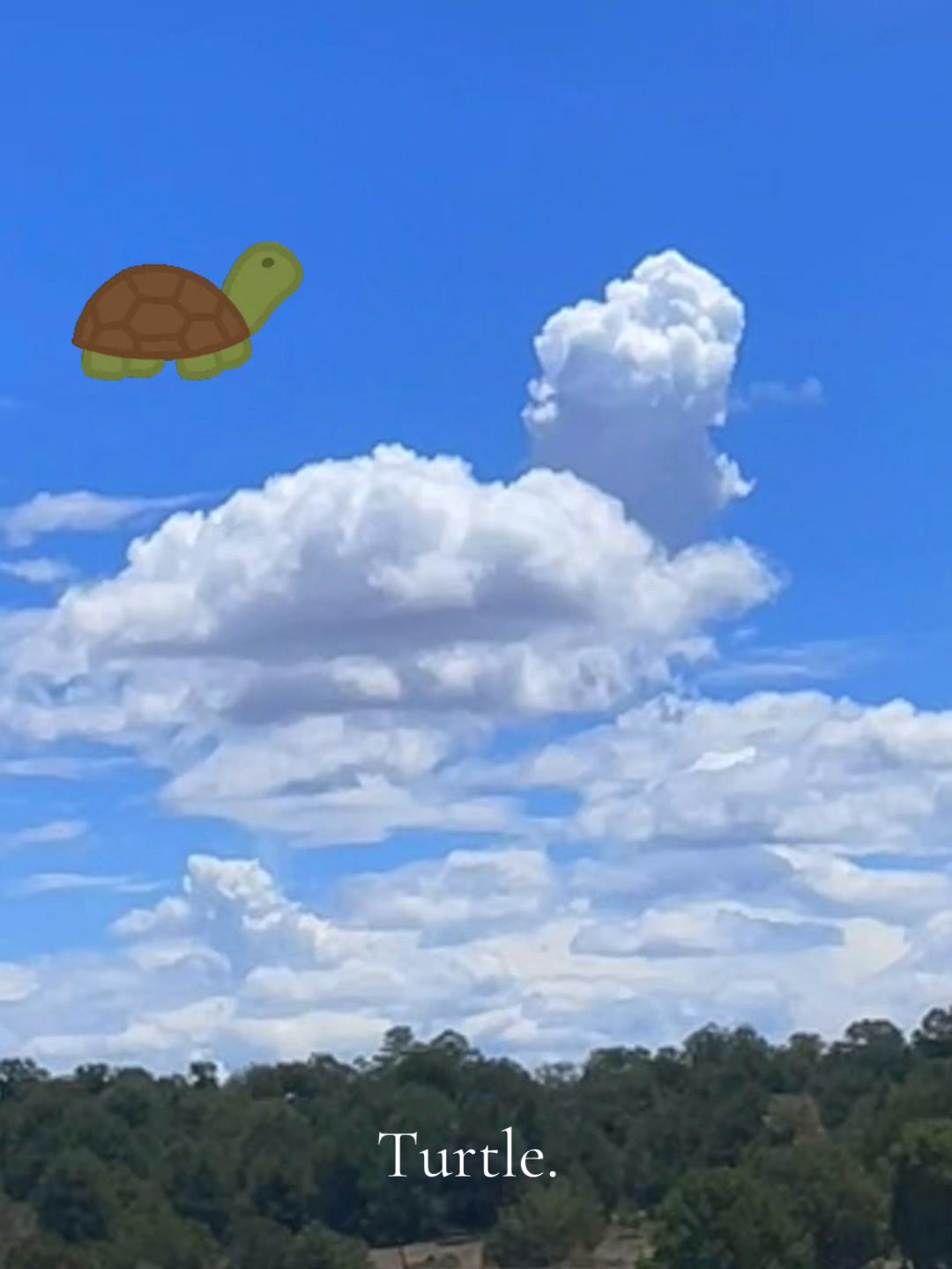 @✨Plucky🌈thePuck✨⚖️🌍🛡️✨
