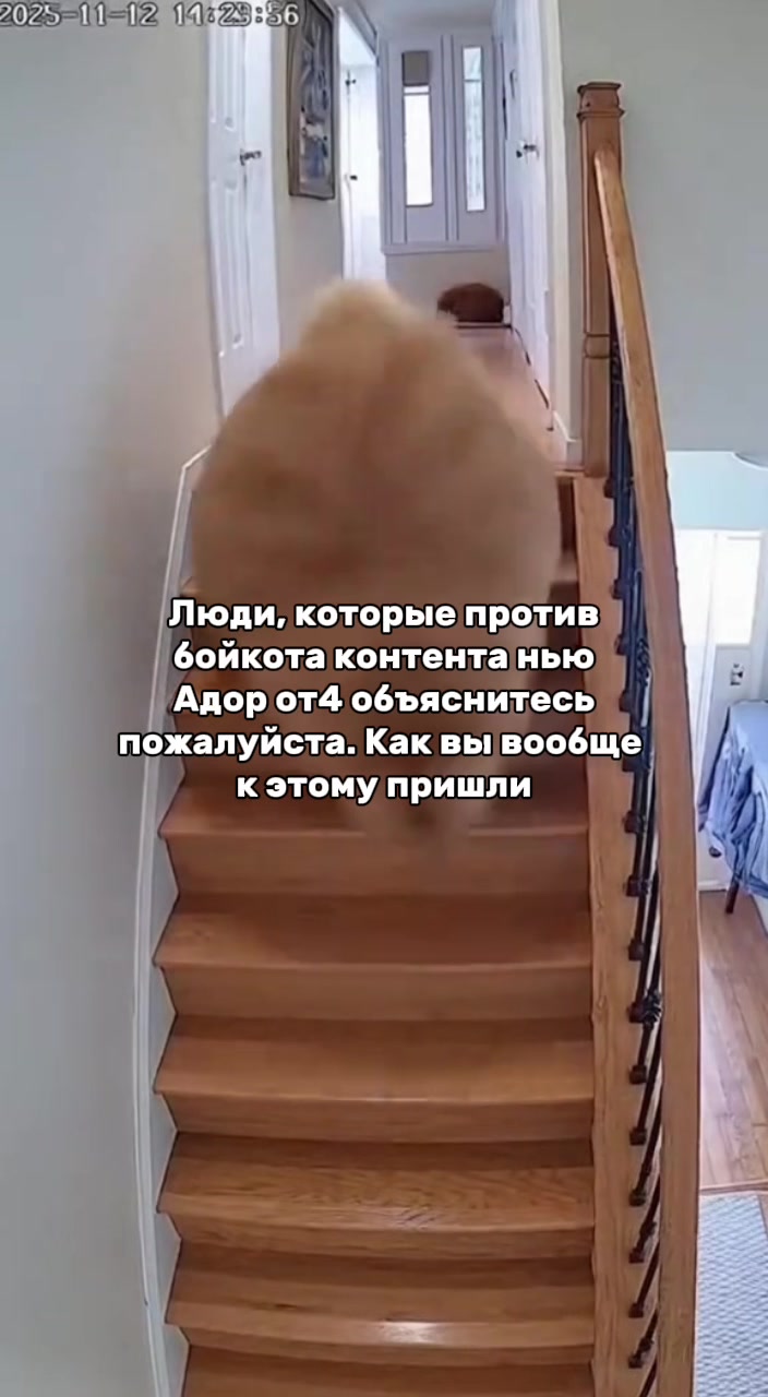 @Тигран | Токки🐰⁵
