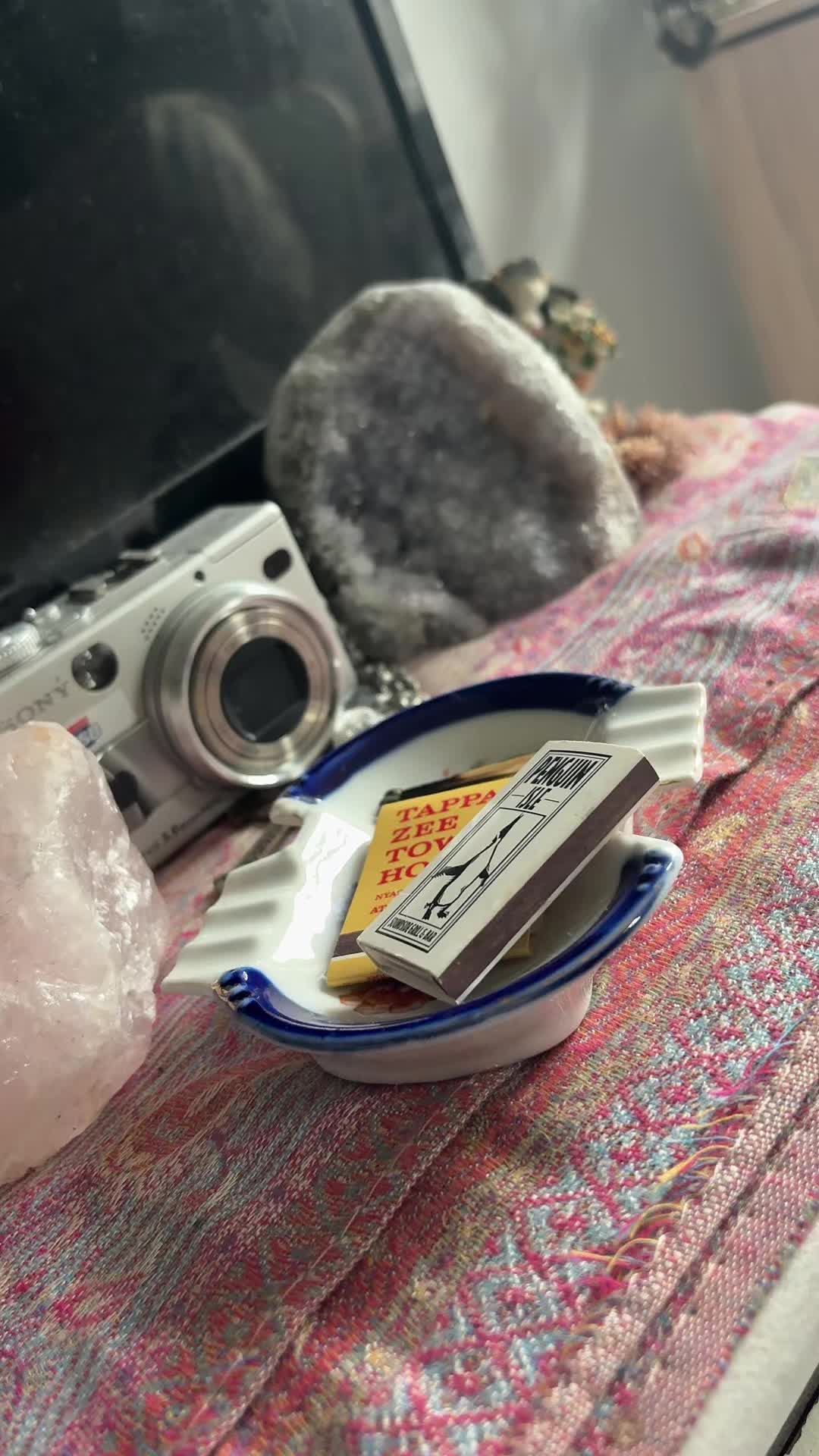 @🦭