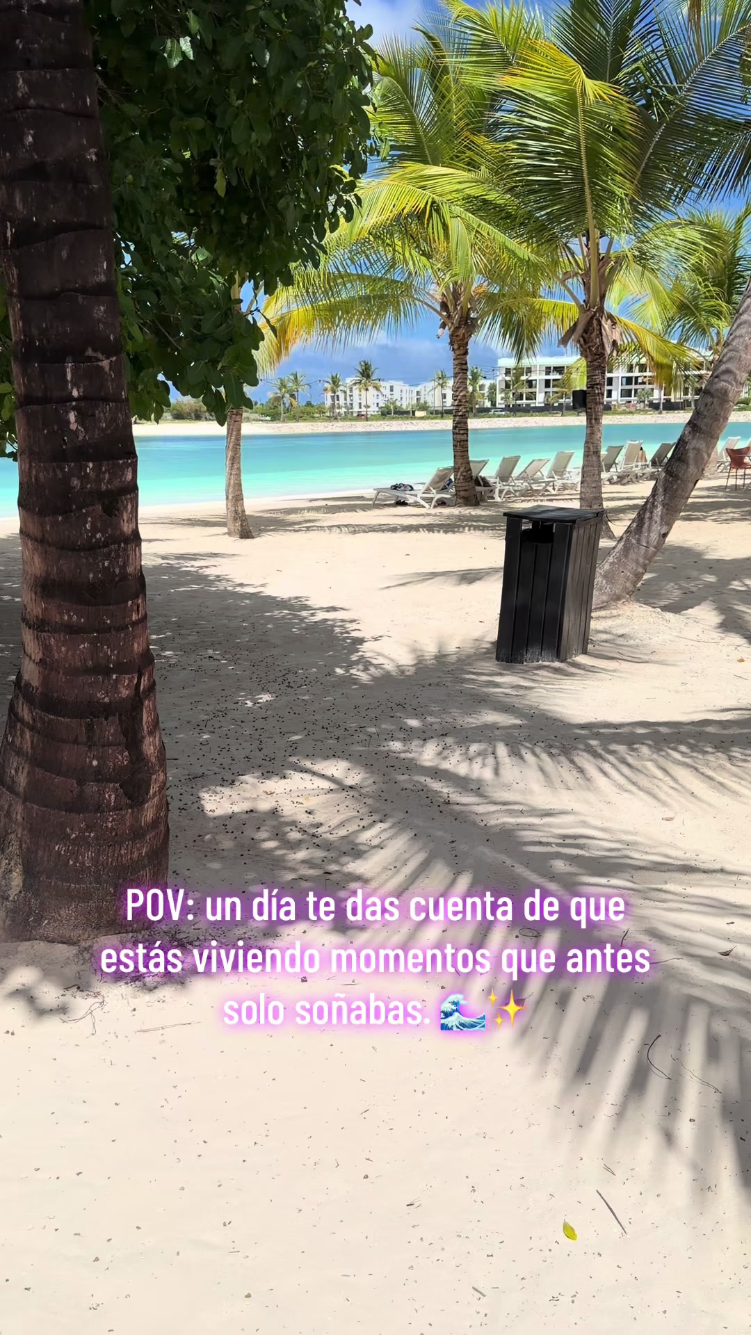 @Lianet Alvarez