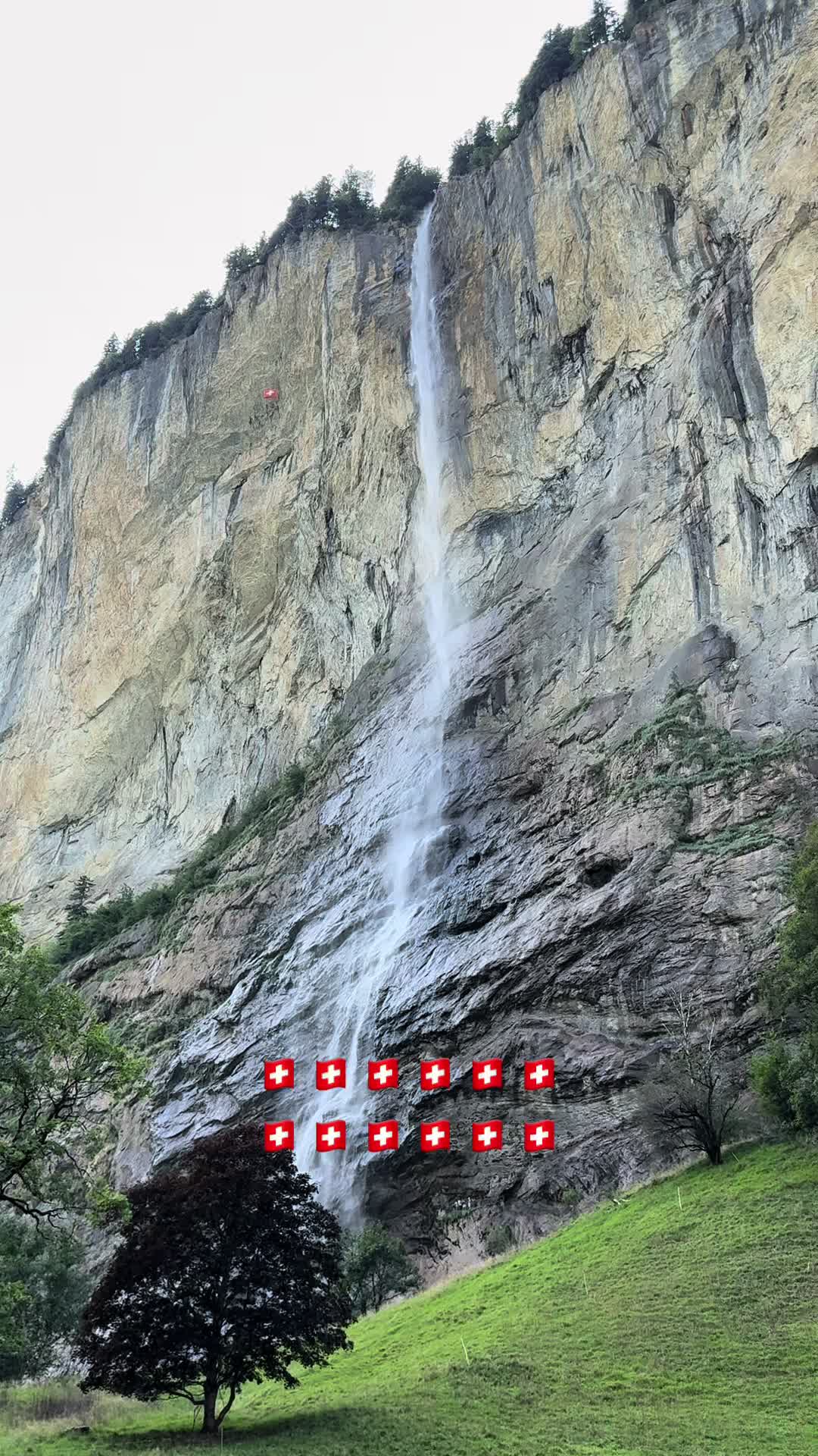 @Ilie Popica