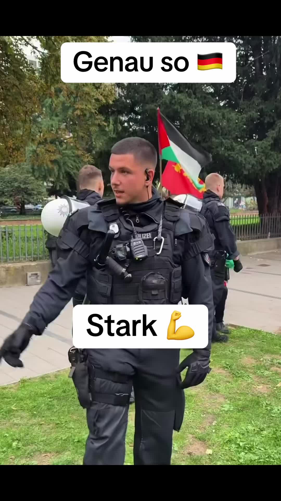 @goldstein678