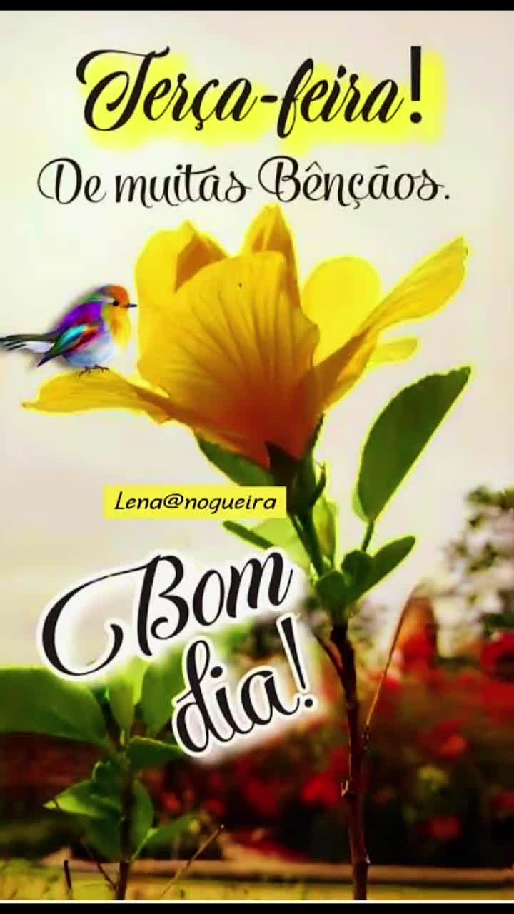 @Opoetabeijaflor