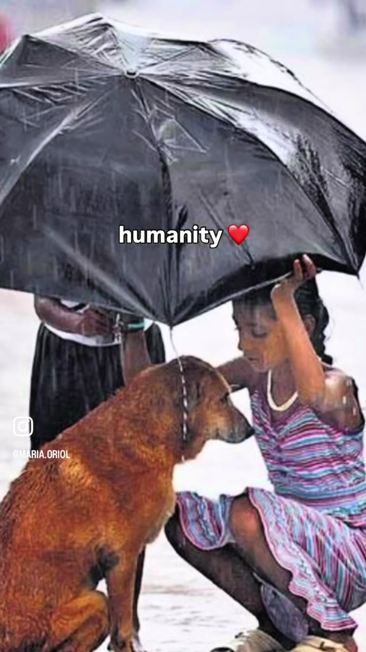 @Spicy.Raini nani !