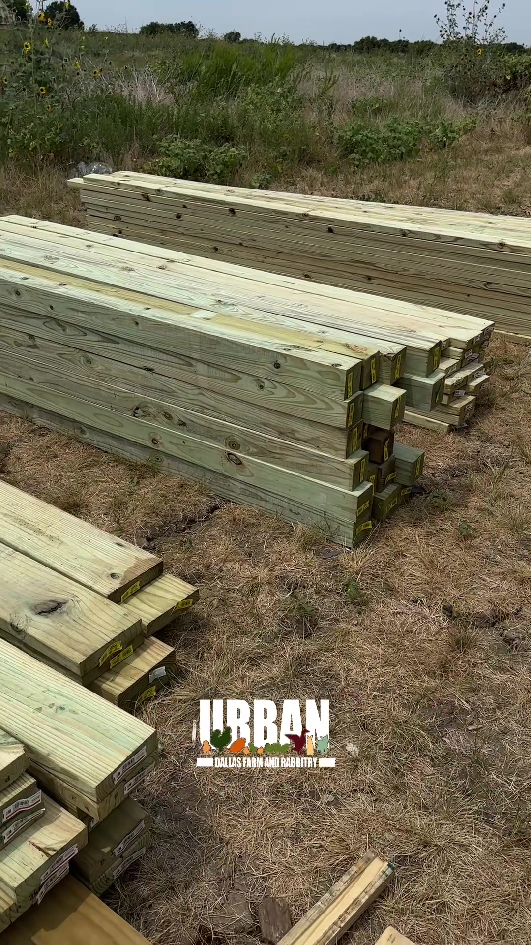 @Urban Dallas Farm