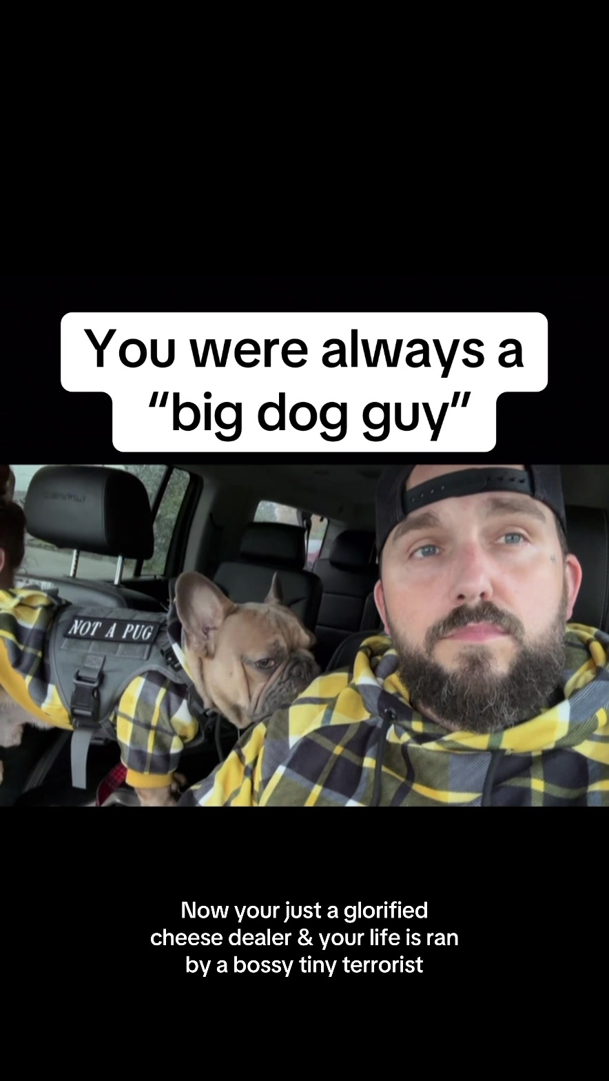 @FrogFaceFrenchies