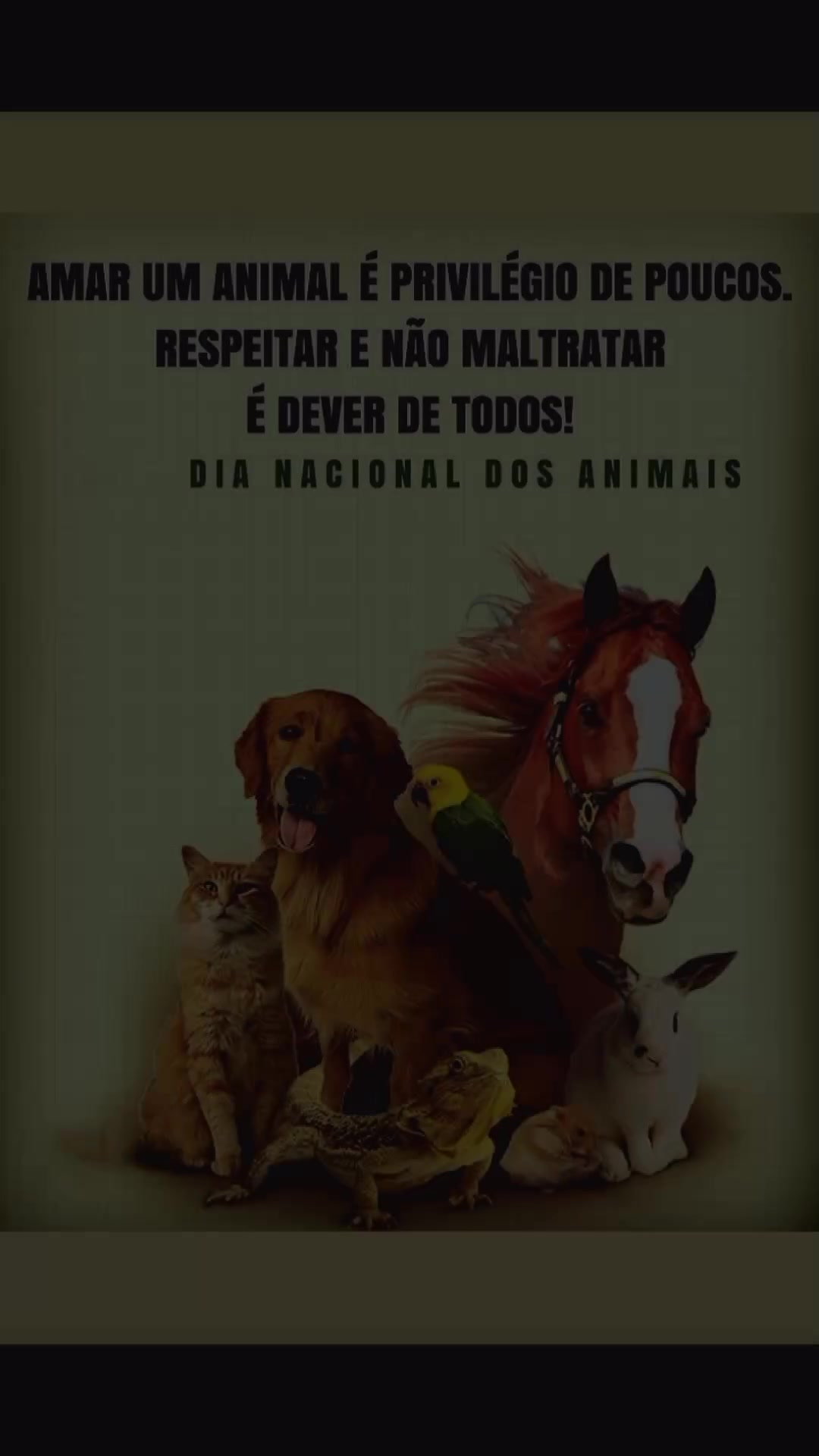 @Gato Xadrez
