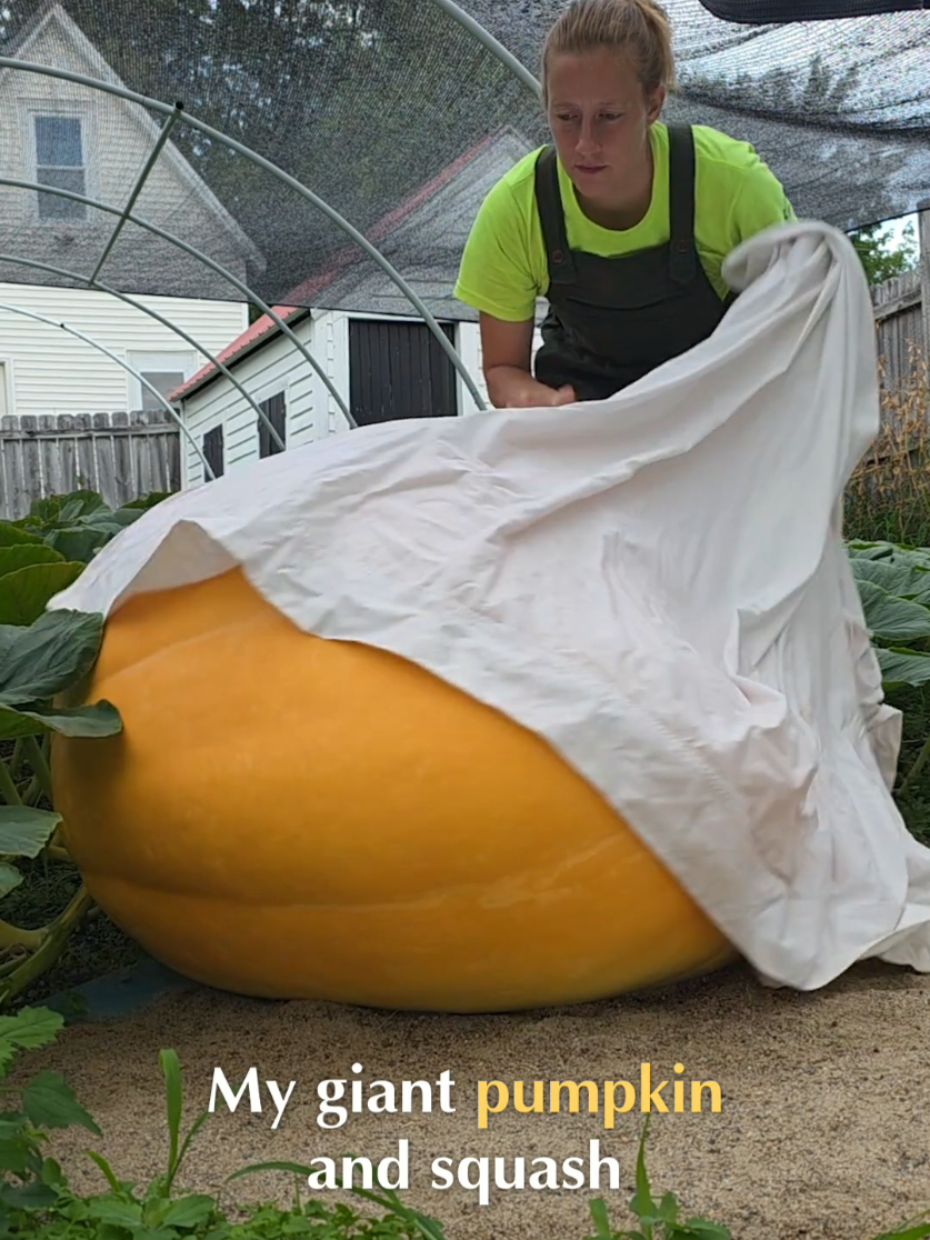 @Pumpkinista