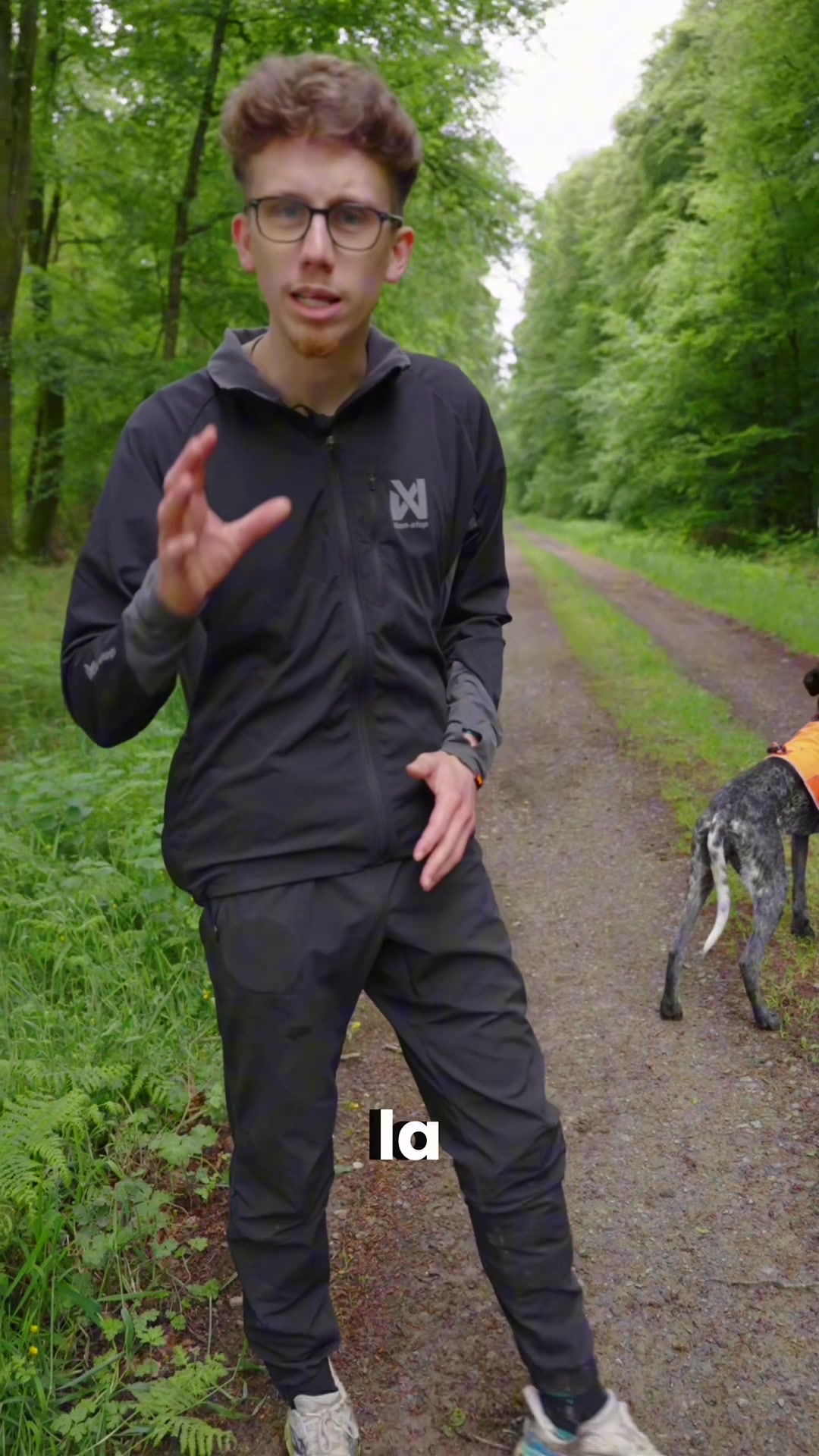 @juleskennel